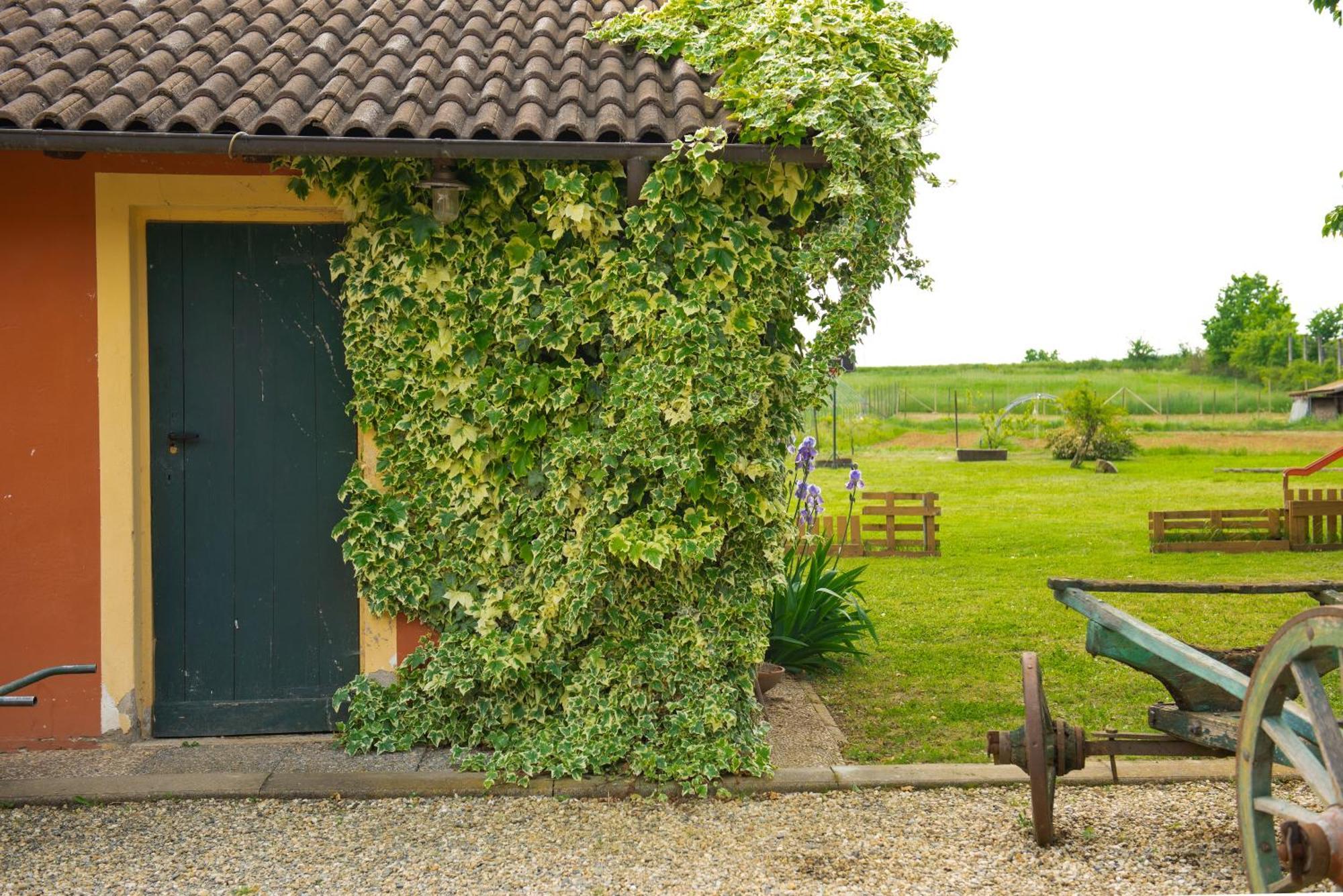 Country House Cascina Orto Pasturana エクステリア 写真